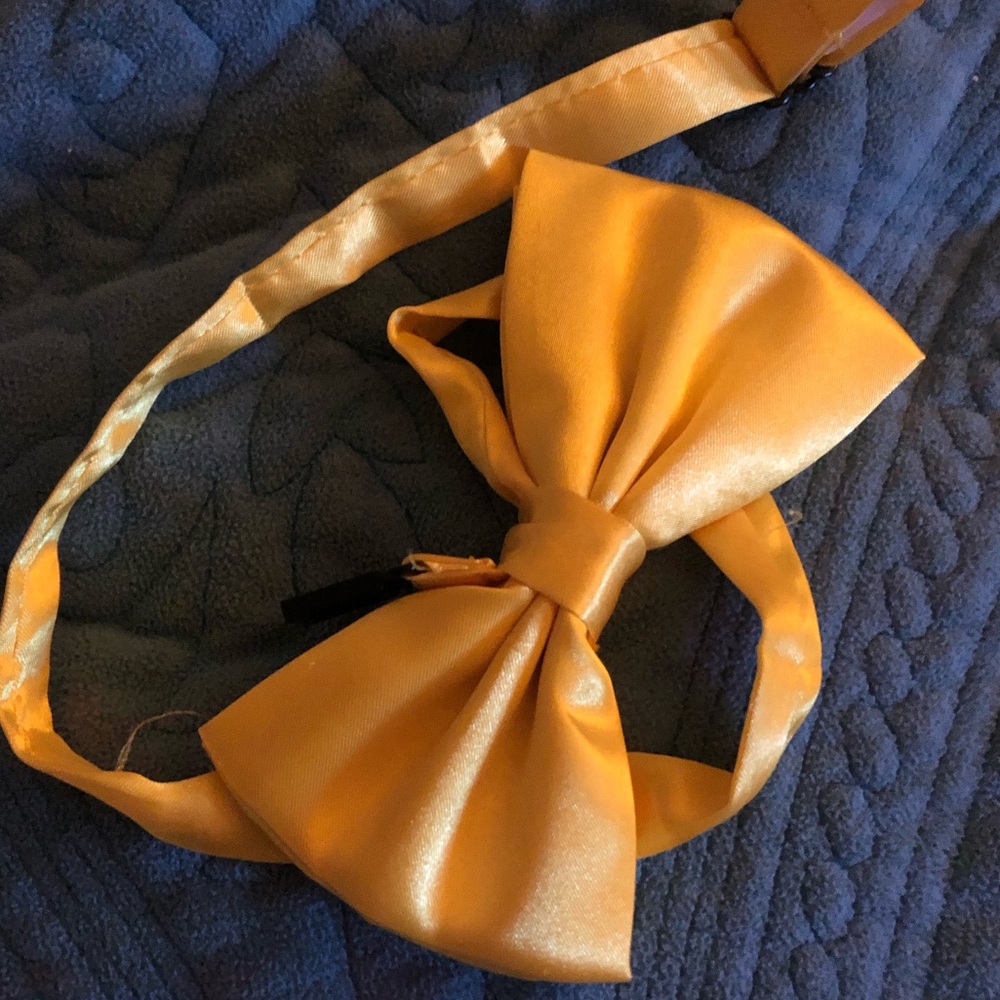 Yellow bow tie
